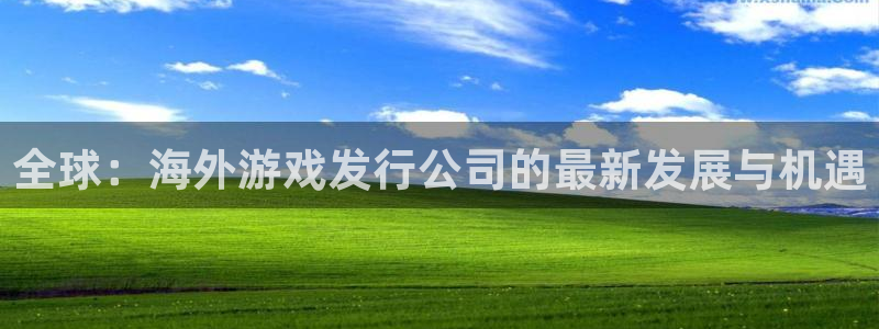 亿万28官网代理开号平台：全球：海外游戏发行公司的最新发展与机遇