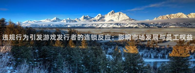 亿万28子最好看的小说：违规行为引发游戏发行者的连锁反应：影响市场发展与员工权益