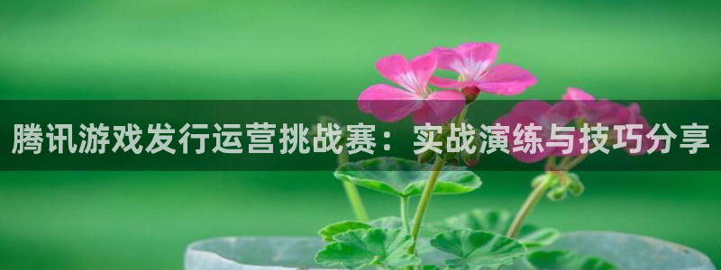 亿万28官网注册平台登录：腾讯游戏发行运营挑战赛：实战演练与技巧分享