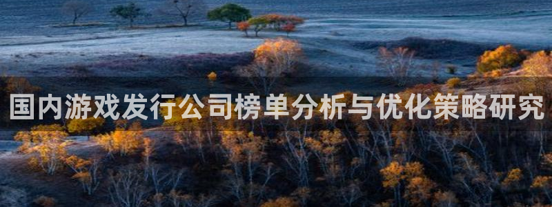 亿万28集团有限公司：国内游戏发行公司榜单分析与优化策略研究