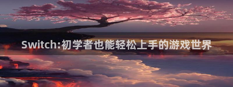 亿万28电子科技股票：Switch:初学者也能轻松上手的游戏世界