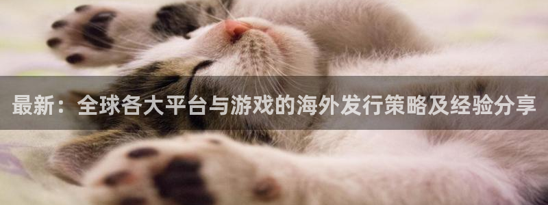 作者亿万28子：最新：全球各大平台与游戏的海外发行策略及经验分享