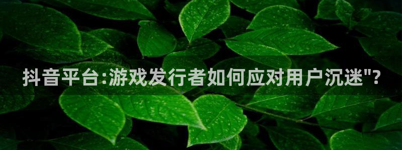 亿万28子传媒集团ceo：抖音平台:游戏发行者如何应对用户沉迷\