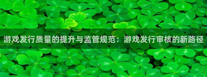 亿万28官网登录注册不了账号：游戏发行质量的提升与监管规范：游戏发行审核的新路径