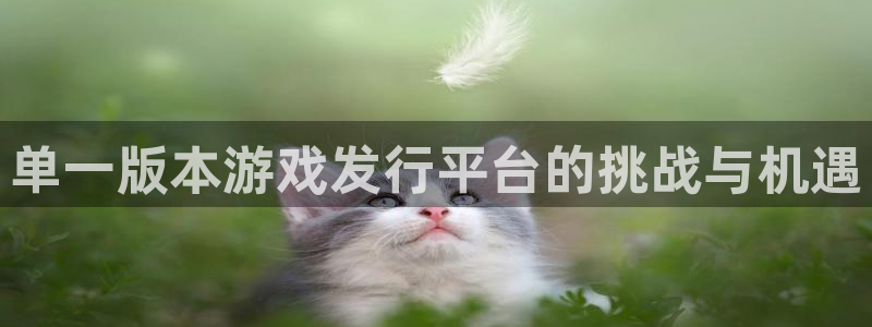 亿万28电子商务有限公司怎么样