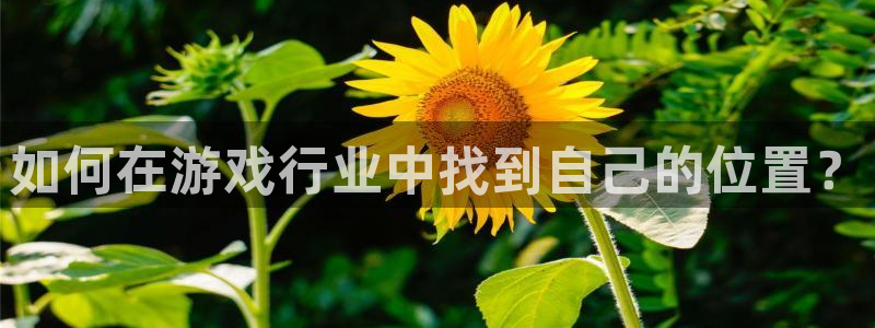 亿万28服装品牌